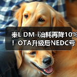 秦L DM-i油耗再降10%!OTA升级后NEDC亏电油耗仅2.6L/100km(图2) 秦L DM-i油耗再降10%!OTA升级后NEDC亏电油耗仅2.6L/100km(图2)