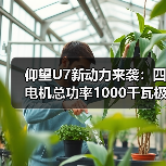 仰望U7新动力来袭:四电机总功率1000千瓦极速270km/h(图4) 仰望U7新动力来袭:四电机总功率1000千瓦极速270km/h(图4)