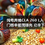 纯电奔驰CLA 260 L入门版申报图曝光 功率下调至165kW(图1) 纯电奔驰CLA 260 L入门版申报图曝光 功率下调至165kW(图1)
