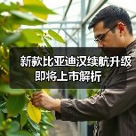 新款比亚迪汉续航升级 即将上市解析(图4) 新款比亚迪汉续航升级 即将上市解析(图4)