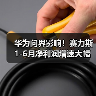 华为问界影响!赛力斯1-6月净利润增速大幅下滑124%(图2) 华为问界影响!赛力斯1-6月净利润增速大幅下滑124%(图2)