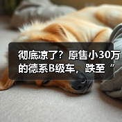 彻底凉了？原售小30万的德系B级车，跌至“白菜价”（图3）