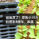 彻底凉了？原售小30万的德系B级车，跌至“白菜价”（图4）