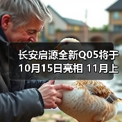 长安启源全新Q05将于10月15日亮相 11月上市(图4) 长安启源全新Q05将于10月15日亮相 11月上市(图4)
