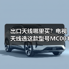 出口天线哪里买？电视天线选这款型号MC001A（图3）