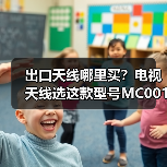 出口天线哪里买？电视天线选这款型号MC001A（图2）