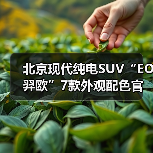 北京现代纯电SUV“EO羿欧”7款外观配色官图发布（图1）