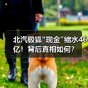 北汽极狐