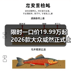 限时一口价19.99万起 2026款大众威然正式上市(图2) 限时一口价19.99万起 2026款大众威然正式上市(图2)