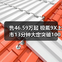 售46.59万起 极氪9X上市13分钟大定突破10000台（图4）