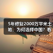 5年修复2000万平米土地,为何选择中国?看绿带行动的可持续实践(图4) 5年修复2000万平米土地,为何选择中国?看绿带行动的可持续实践(图4)