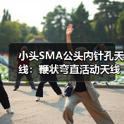 小头SMA公头内针孔天线:鞭状弯直活动天线WIFI无线网卡195长,增益5DB性能解析(图4) 小头SMA公头内针孔天线:鞭状弯直活动天线WIFI无线网卡195长,增益5DB性能解析(图4)