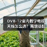 DVB-T2室内数字电视天线怎么选？高增益超薄设计解析（图1）