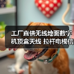 工厂直供无线地面数字机顶盒天线 拉杆电视信号接收设备怎么选？（图4）