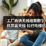 工厂直供无线地面数字机顶盒天线 拉杆电视信号接收设备怎么选？（图3）