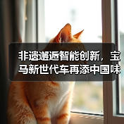 非遗邂逅智能创新,宝马新世代车再添中国味(图3) 非遗邂逅智能创新,宝马新世代车再添中国味(图3)