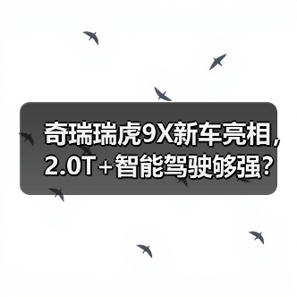 奇瑞瑞虎9X新车亮相，2.0T+智能驾驶够强？（图3）