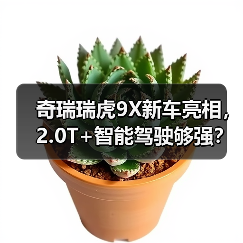 奇瑞瑞虎9X新车亮相，2.0T+智能驾驶够强？（图1）
