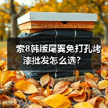 索8韩版尾翼免打孔烤漆批发怎么选？（图2）