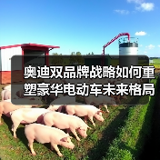 奥迪双品牌战略如何重塑豪华电动车未来格局?(图4) 奥迪双品牌战略如何重塑豪华电动车未来格局?(图4)