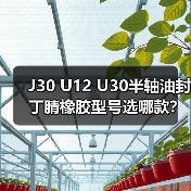 J30 U12 U30半轴油封丁腈橡胶型号选哪款?(图4) J30 U12 U30半轴油封丁腈橡胶型号选哪款?(图4)
