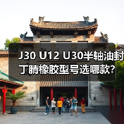 J30 U12 U30半轴油封丁腈橡胶型号选哪款?(图2) J30 U12 U30半轴油封丁腈橡胶型号选哪款?(图2)