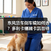 东风货车倒车镜如何选？多利卡福瑞卡凯普特劲诺锐铃康霸对比分析（图1）