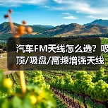 汽车FM天线怎么选？吸顶/吸盘/高频增强天线选购全攻略（图3）