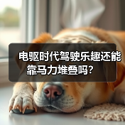电驱时代驾驶乐趣还能靠马力堆叠吗?(图3) 电驱时代驾驶乐趣还能靠马力堆叠吗?(图3)