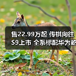 售22.99万起 传祺向往S9上市 全系标配华为乾��（图3）