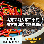 雷克萨斯入华二十载 从东方豪华迈向新豪华的变革之路(图1) 雷克萨斯入华二十载 从东方豪华迈向新豪华的变革之路(图1)
