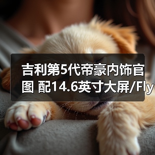 吉利第5代帝豪内饰官图 配14.6英寸大屏/Flyme(图4) 吉利第5代帝豪内饰官图 配14.6英寸大屏/Flyme(图4)