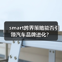 smart跨界策略能否引领汽车品牌进化?(图4) smart跨界策略能否引领汽车品牌进化?(图4)
