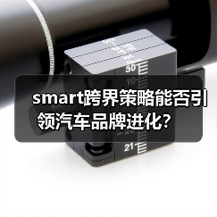smart跨界策略能否引领汽车品牌进化?(图3) smart跨界策略能否引领汽车品牌进化?(图3)