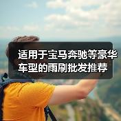 适用于宝马奔驰等豪华车型的雨刷批发推荐(图2) 适用于宝马奔驰等豪华车型的雨刷批发推荐(图2)