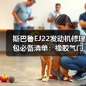 斯巴鲁EJ22发动机修理包必备清单：橡胶气门室盖垫+时规垫怎么选？（图3）