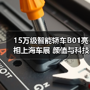 15万级智能轿车B01亮相上海车展 颜值与科技双重突围(图2) 15万级智能轿车B01亮相上海车展 颜值与科技双重突围(图2)
