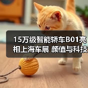 15万级智能轿车B01亮相上海车展 颜值与科技双重突围(图4) 15万级智能轿车B01亮相上海车展 颜值与科技双重突围(图4)