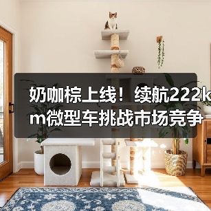 奶咖棕上线!续航222km微型车挑战市场竞争(图3) 奶咖棕上线!续航222km微型车挑战市场竞争(图3)