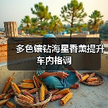 多色镶钻海星香薰提升车内格调(图3) 多色镶钻海星香薰提升车内格调(图3)