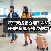 汽车天线怎么选？AM/FM收音机天线选购技巧与厂家推荐（图2）
