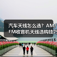 汽车天线怎么选？AM/FM收音机天线选购技巧与厂家推荐（图3）