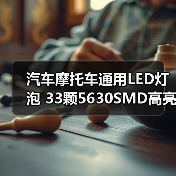 汽车摩托车通用LED灯泡 33颗5630SMD高亮省电耐用(图1) 汽车摩托车通用LED灯泡 33颗5630SMD高亮省电耐用(图1)