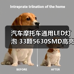 汽车摩托车通用LED灯泡 33颗5630SMD高亮省电耐用(图3) 汽车摩托车通用LED灯泡 33颗5630SMD高亮省电耐用(图3)