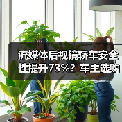 流媒体后视镜轿车安全性提升73%？车主选购指南（图2）