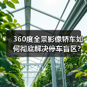 360度全景影像轿车如何彻底解决停车盲区?(图2) 360度全景影像轿车如何彻底解决停车盲区?(图2)