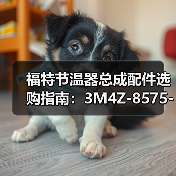 福特节温器总成配件选购指南:3M4Z-8575-B型号推荐(图4) 福特节温器总成配件选购指南:3M4Z-8575-B型号推荐(图4)