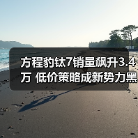 方程豹钛7销量飙升3.4万 低价策略成新势力黑马(图2) 方程豹钛7销量飙升3.4万 低价策略成新势力黑马(图2)