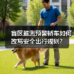 盲区监测预警轿车如何改写安全出行规则?(图2) 盲区监测预警轿车如何改写安全出行规则?(图2)