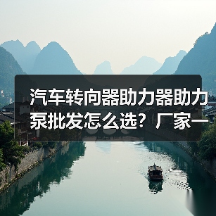 汽车转向器助力器助力泵批发怎么选？厂家一件起批（图2）